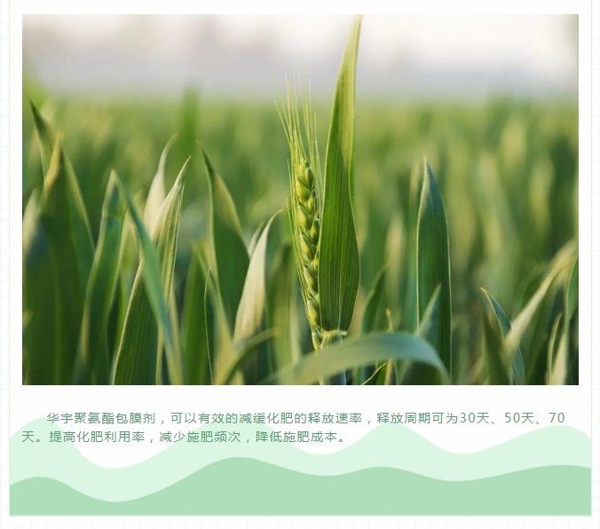 聚氨酯緩釋肥的釋放機理